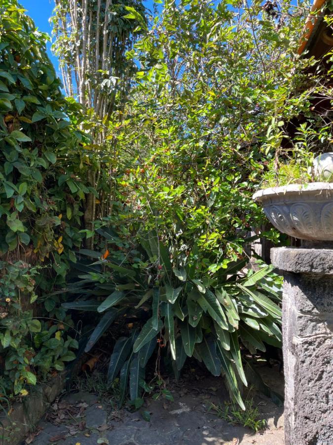 Casa Qatzij - Guest House, Lake Atitlan San Lucas Tolimán المظهر الخارجي الصورة